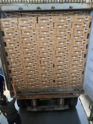 Cat Dasar Cat Mobil Cepat Kering Tahan Lama 1K Hijau Muda Mutiara